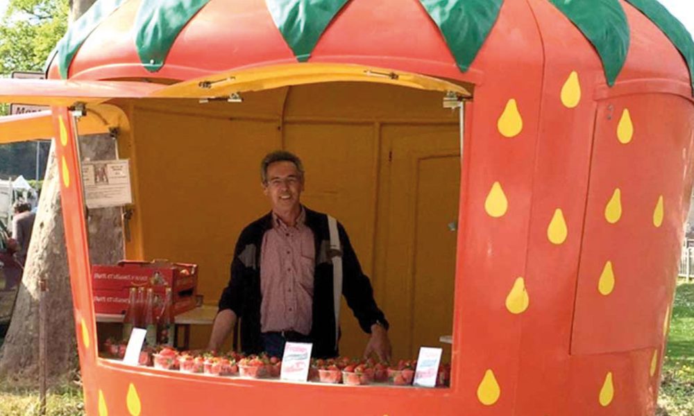fraises-geantes-3