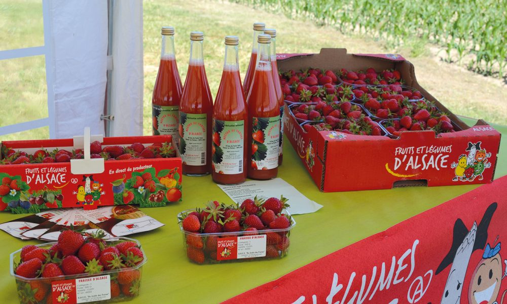 fraises-geantes