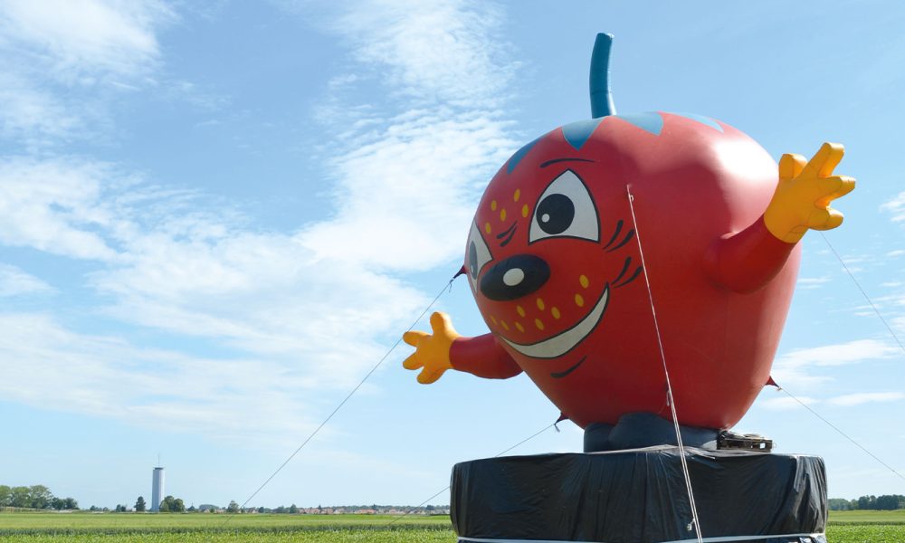 libre-cueillette-fraise-nordhouse-3